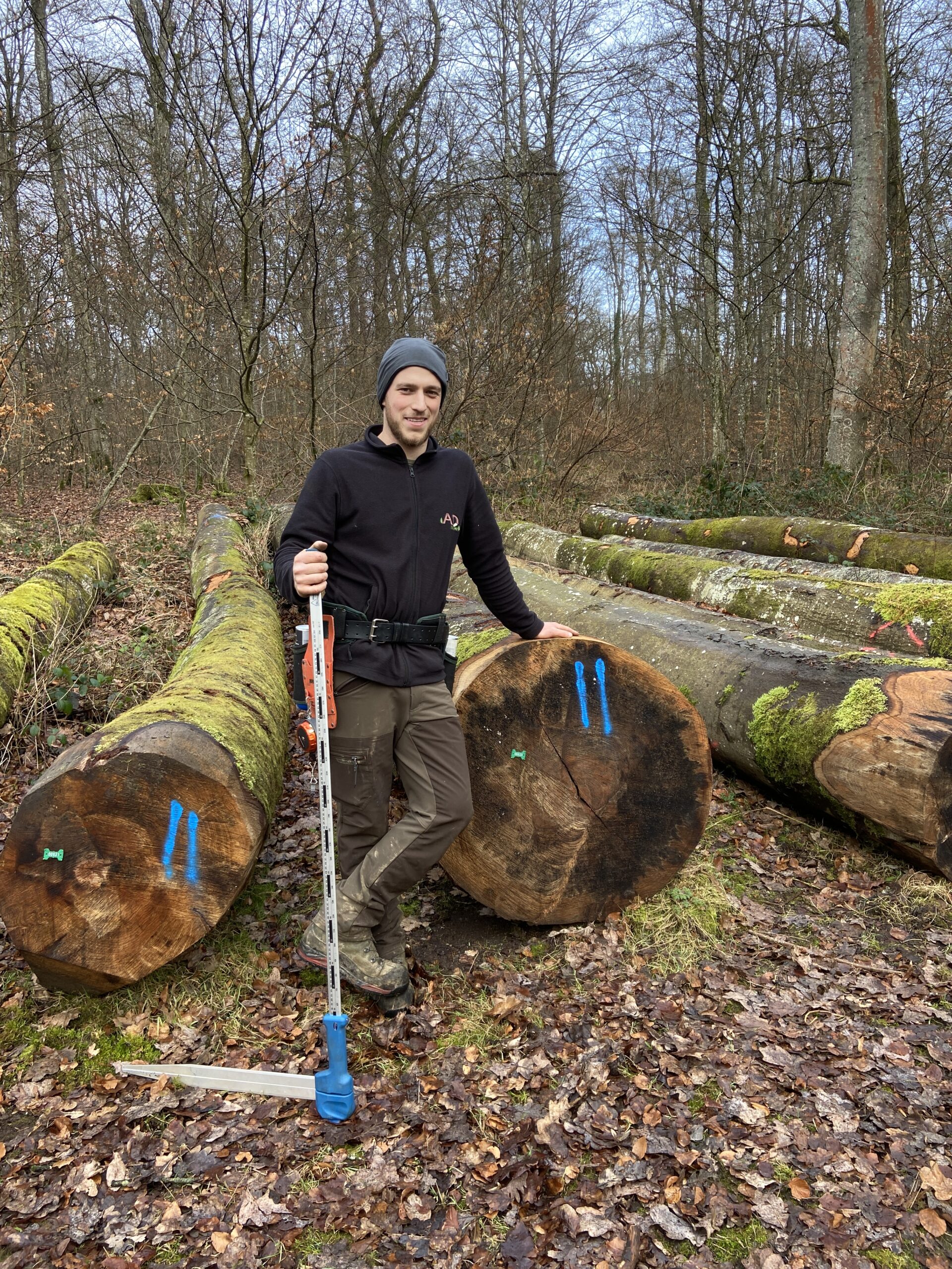 Abattage et élagage d'arbres par un bucheron